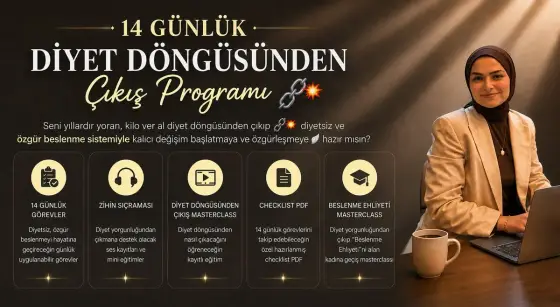 14 günlük programın modülleri